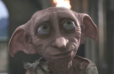 12 of the most emotional responses to the anniversary of Dobby the Elf's death today