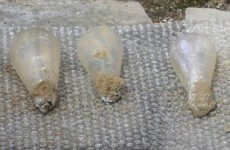 Lightbulb found in cornerstone still works after 100 years