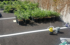 Pics: Gardaí attend Dublin house fire, seize €110,000 worth of cannabis from the growhouse on the property