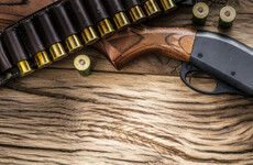 Garda investigation after a number of shotguns stolen from Kildare armoury