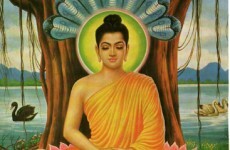 Can meditation change your brain?