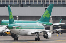 An Aer Lingus flight has returned to Dublin after hitting a hare on take-off