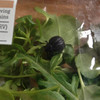Large live black beetle found in pre-washed bag of salad bought in Dublin Tesco