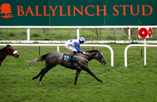 Who's Steph continues on upward curve as Hazapour springs surprise in Leopardstown