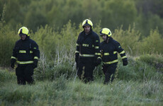 Bodies of pilot and 7-year-old boy recovered after light aircraft crash in Offaly