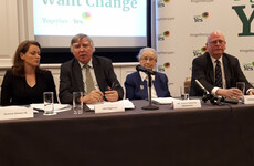 Thousands of Irish women have been made 'refugees' by Eighth Amendment, says former Supreme Court justice