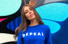 How has the referendum changed the public's interpretation of 'The Influencer?'