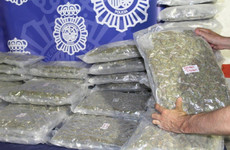 Gardaí help police in Spain seize €3.4 million worth of cannabis destined for Ireland