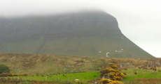 Pro-life group says the 'No' on Ben Bulben was 'vandalised' and removed