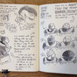 12 scenes from life as a Dublin Bus commuter, sketched by illustrator Sarah Bowie