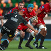 That's why they're champions! Scarlets tear through Glasgow to reach Pro14 final