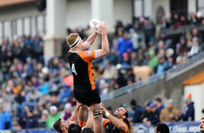 Cork man Mitchell making big impression in Major League Rugby in the US