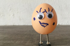An egg a day may keep heart disease away
