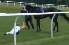 Presenter tackles horse, dusts herself down to deliver live preview of the next race
