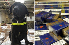 Revenue dog Elvis sniffs out €408k worth of black market cigarettes in Meath