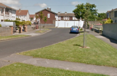 Gardaí investigate after dog shot dead in overnight attack in Dublin