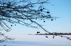 Met Éireann warns of cold week ahead