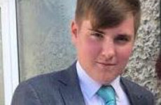 18-year-old found dead in Louth field named locally as Cameron Reilly