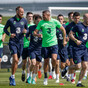 Do you agree with our Ireland team to face France?