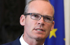 Coveney calls on Russia to take accountability for downing of Malaysian Airlines flight