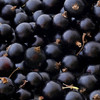 Blackcurrant waste from Ribena production could create 'natural' hair dye