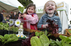 6 family events to check out this bank holiday weekend... from Lego robots to sailing tours