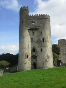 Historic doors stolen from 16th Century Laois castle