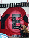 Savita mural artist: 'I've been painting a long time, I've never seen a reaction like that before'
