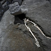Archaeologists uncovered a skeleton from the Pompeii eruption and people are really relating to how he died