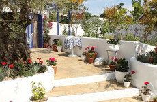 Here are our 6 favourite gardens at Bloom