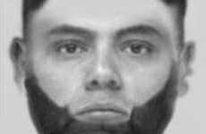 Gardaí release Evofit of suspect as they appeal for witnesses to alleged sexual assault