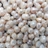 World's largest freshwater pearl sold at auction for €320,000