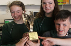 These primary school pupils from Dún Laoghaire have won an international award for their after-school coding club