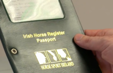 The EU is running the rule over claims Ireland's peak equestrian body got illegal state aid