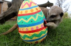 What has Easter got to do with buns, bonnets and bunnies?