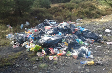Poll: Is a 12 month sentence enough to deter illegal dumpers?