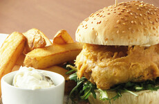 The brain 'rewards' foods high in fats and carbohydrates