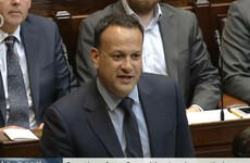 'Revenue are counting the chip bags coming out of chip shops' - Taoiseach defends use of PIs to investigate consultants