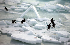 The ice of Antarctica is melting at three times its previous rate