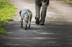 US man wrongly linked to burglary after 'walking dog while black'
