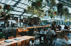 Chef Kevin Powell shares what we could take from Copenhagen’s exciting food scene