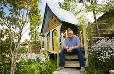 Meet the Wicklow company making treehouses for adults