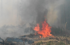 Dublin Fire Brigade battles huge 'deliberate' gorse fire