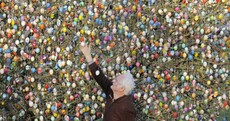 GALLERY: Think Easter Eggs don't grow on trees? Think again
