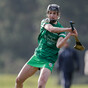 Mulcahy the saviour once more as Limerick snatch late dramatic draw with Clare