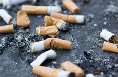 Government to increase on-the-spot litter fines to €250