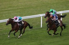 The £1m showdown: Frankel, Black Caviar lured towards Goodwood