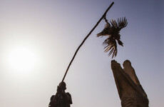 Sacred snappers: The village where crocodiles are welcome