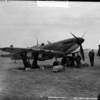 Spitfire that crashed into Monaghan field and Nazi invasion plans to be put on show