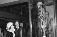After sustained campaign, Irish giant's bones may finally be released from London museum